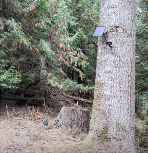 V300 Ultimate installed on a tree