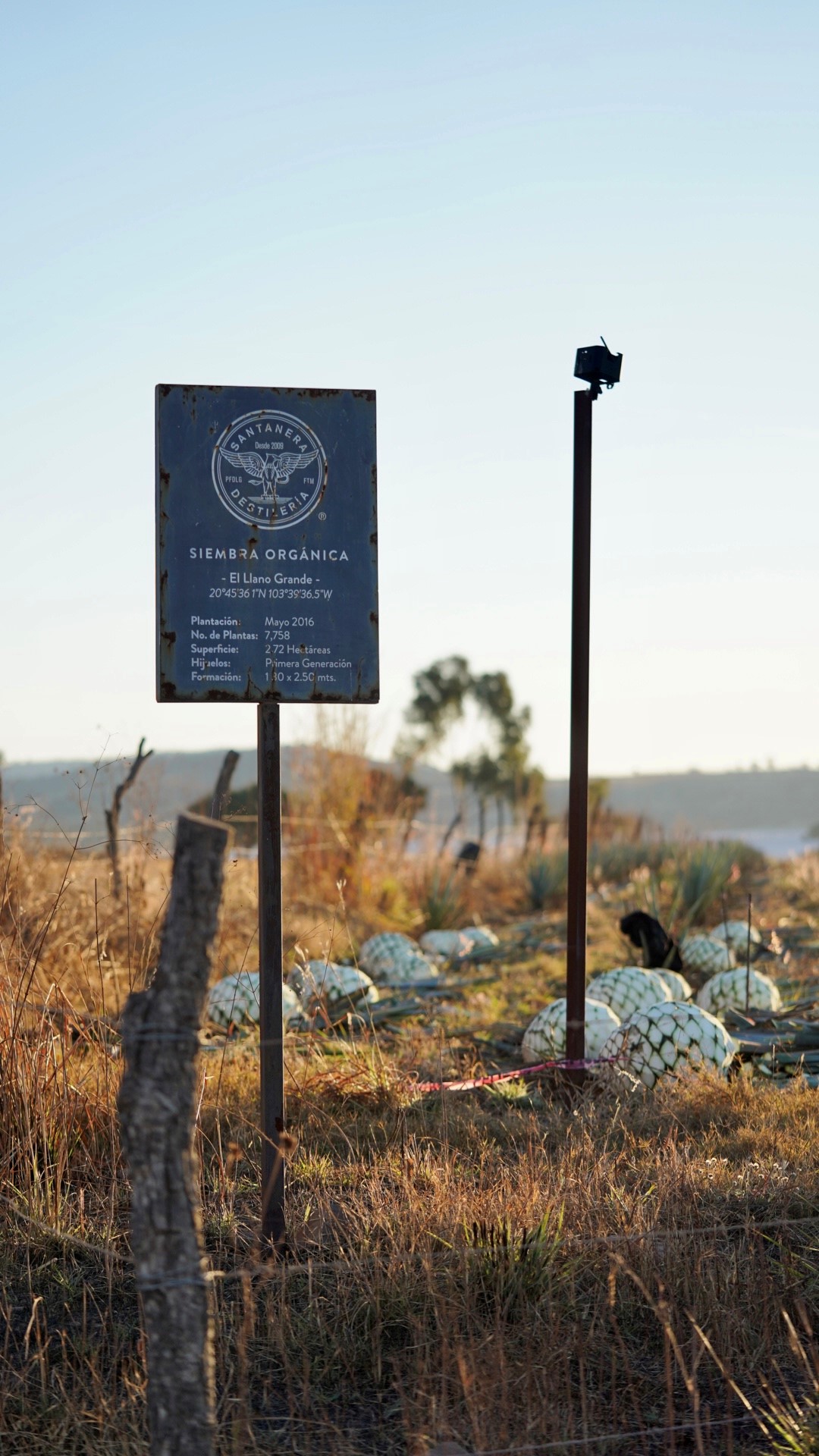 Vosker Security camera For Site-Monitoring 