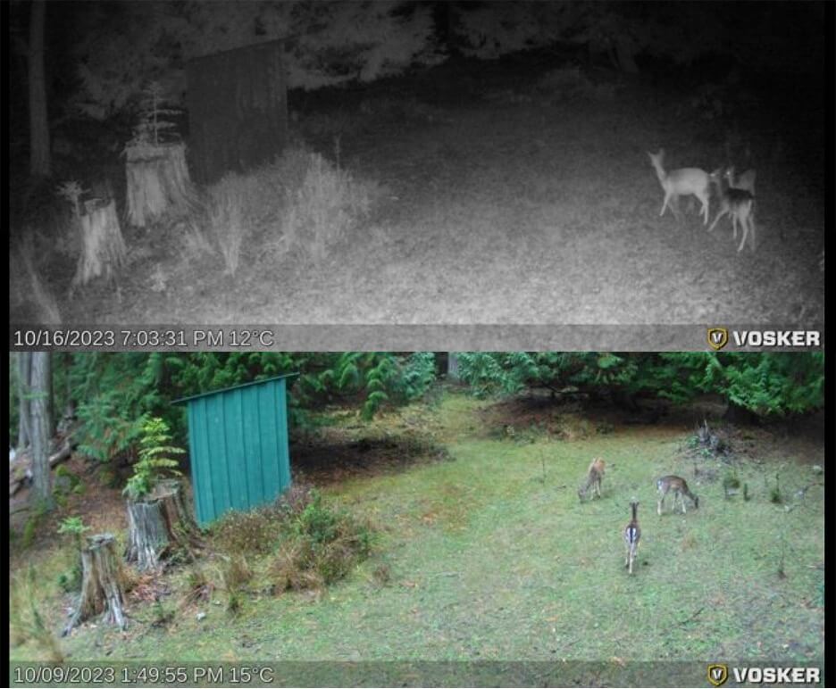 Pictures take by V300 Ultimate