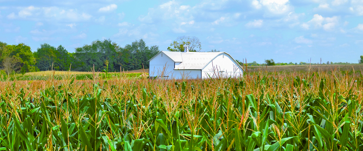 Interview with Engineer and Farm Owner – Lisa Peterson