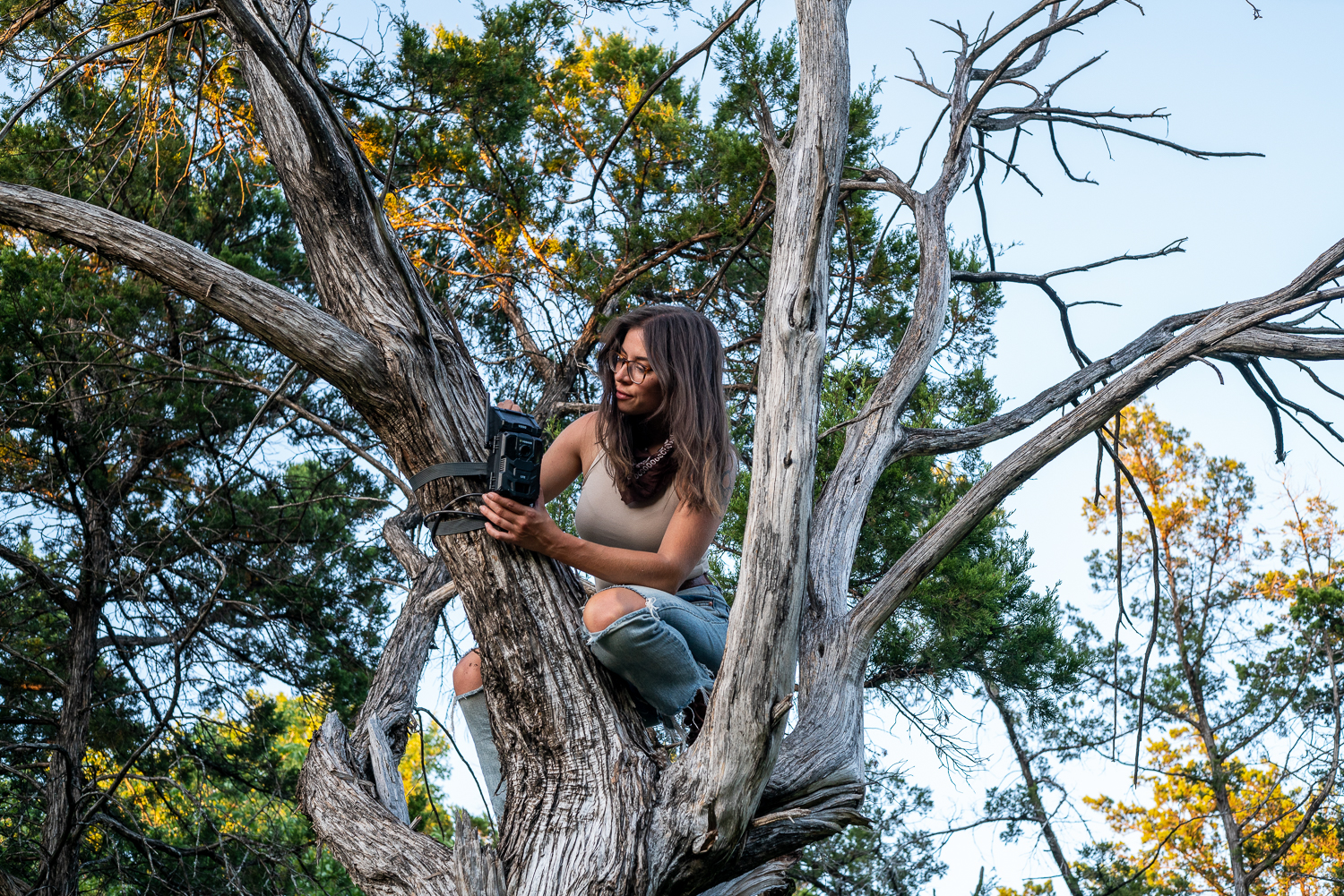 Stopping Crime and Saving a Forest