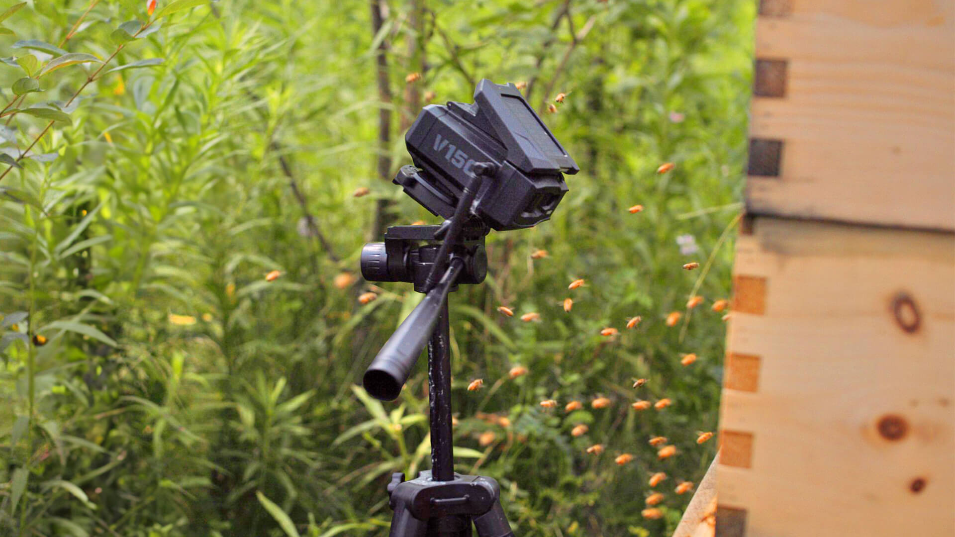 Vosker partners with WildFlower Bee Farm